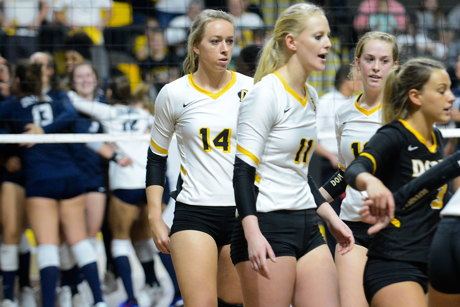 Volleyball NAIA Dordt vs. Columbia
